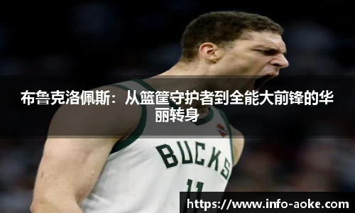 布鲁克洛佩斯：从篮筐守护者到全能大前锋的华丽转身